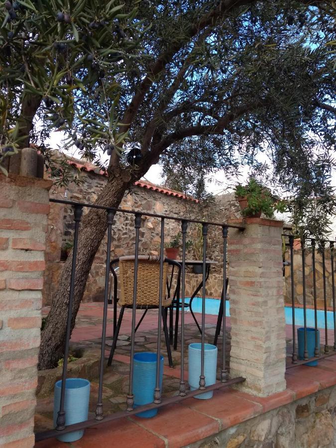 Nidal Del Buho Casa de Férias
