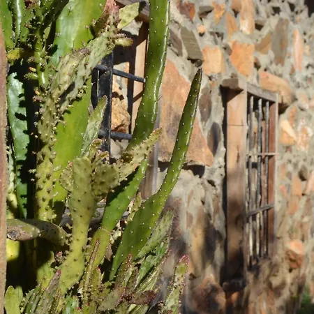Nidal Del Buho Casa Rural Azuel Exterior photo