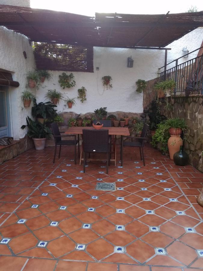 Nidal Del Buho Hébergement de vacances